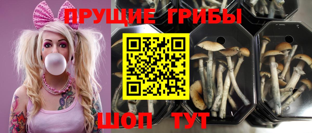 ГАШИШ  МАРИХУАНА  Вход с VPN  Кокаин  Меф МЯУ МЯУ  ЭКСТАЗИ  Тольятти  МЕФ  