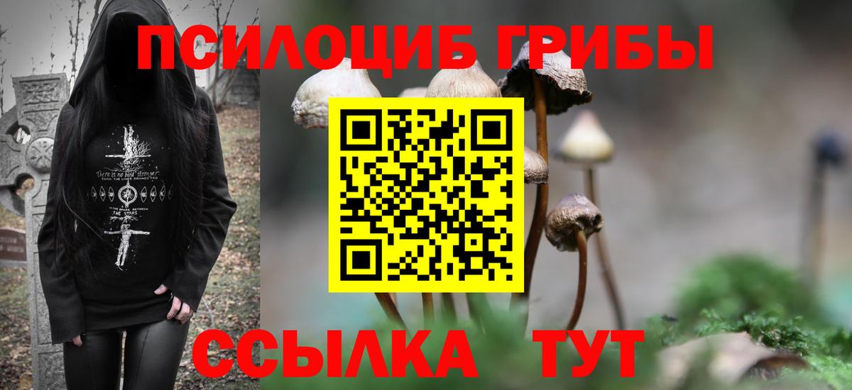 Псилоцибиновые грибы GOLDEN TEACHER Тольятти