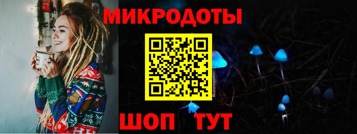 где купить наркоту  Вход с VPN  Тольятти  Псилоцибиновые грибы Cubensis 