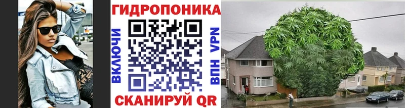 ОМГ ОМГ ссылки  Тольятти  Канабис семена  цена  